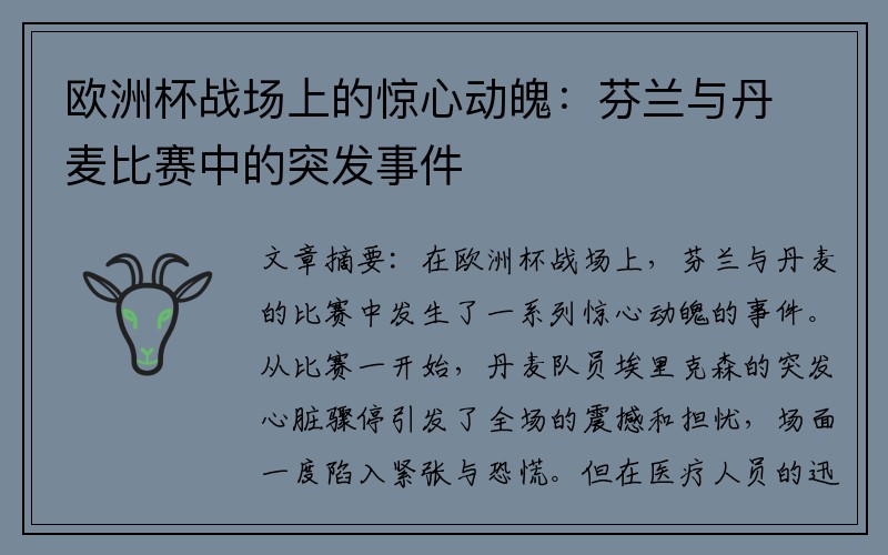 欧洲杯战场上的惊心动魄：芬兰与丹麦比赛中的突发事件