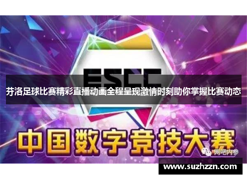 芬洛足球比赛精彩直播动画全程呈现激情时刻助你掌握比赛动态