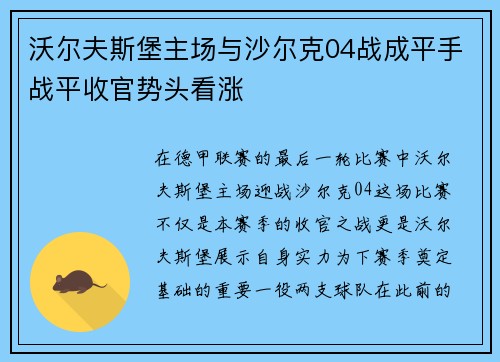 沃尔夫斯堡主场与沙尔克04战成平手战平收官势头看涨